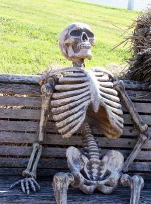 Image Waiting-Skeleton