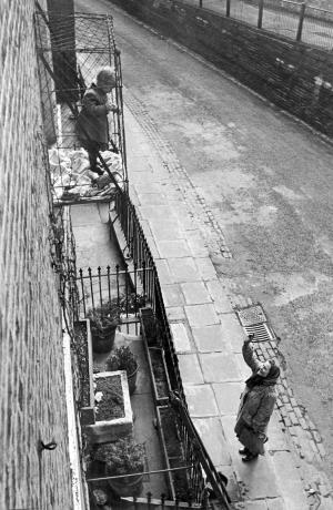 Image 60zedj