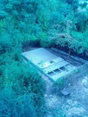 Image fwey19