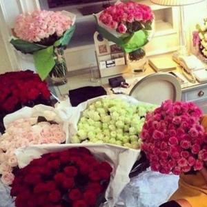 Image qxjuy9