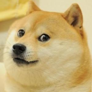 Image Doge